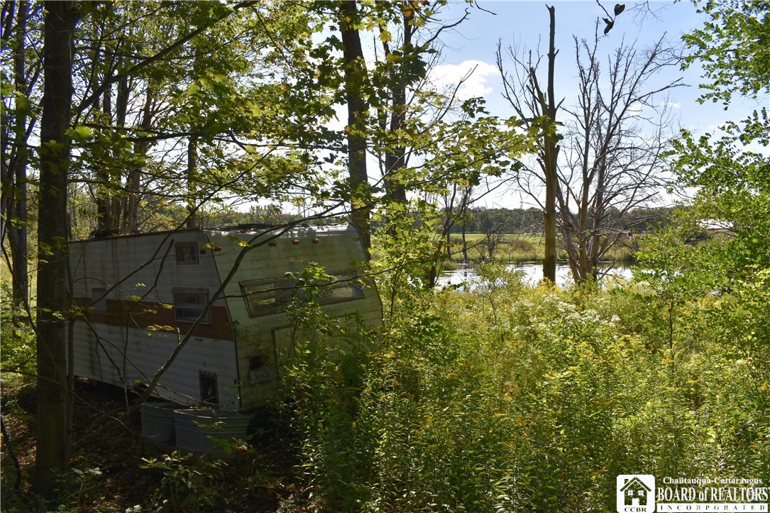Round Top Road Forestville, NY 14062 - Photo 4 of 20 Gallery Image 4