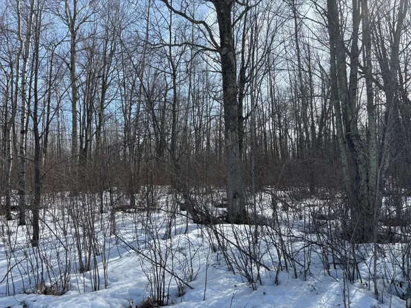 $59,000 | Tbd Erickson Road, Kettle River, MN 55757