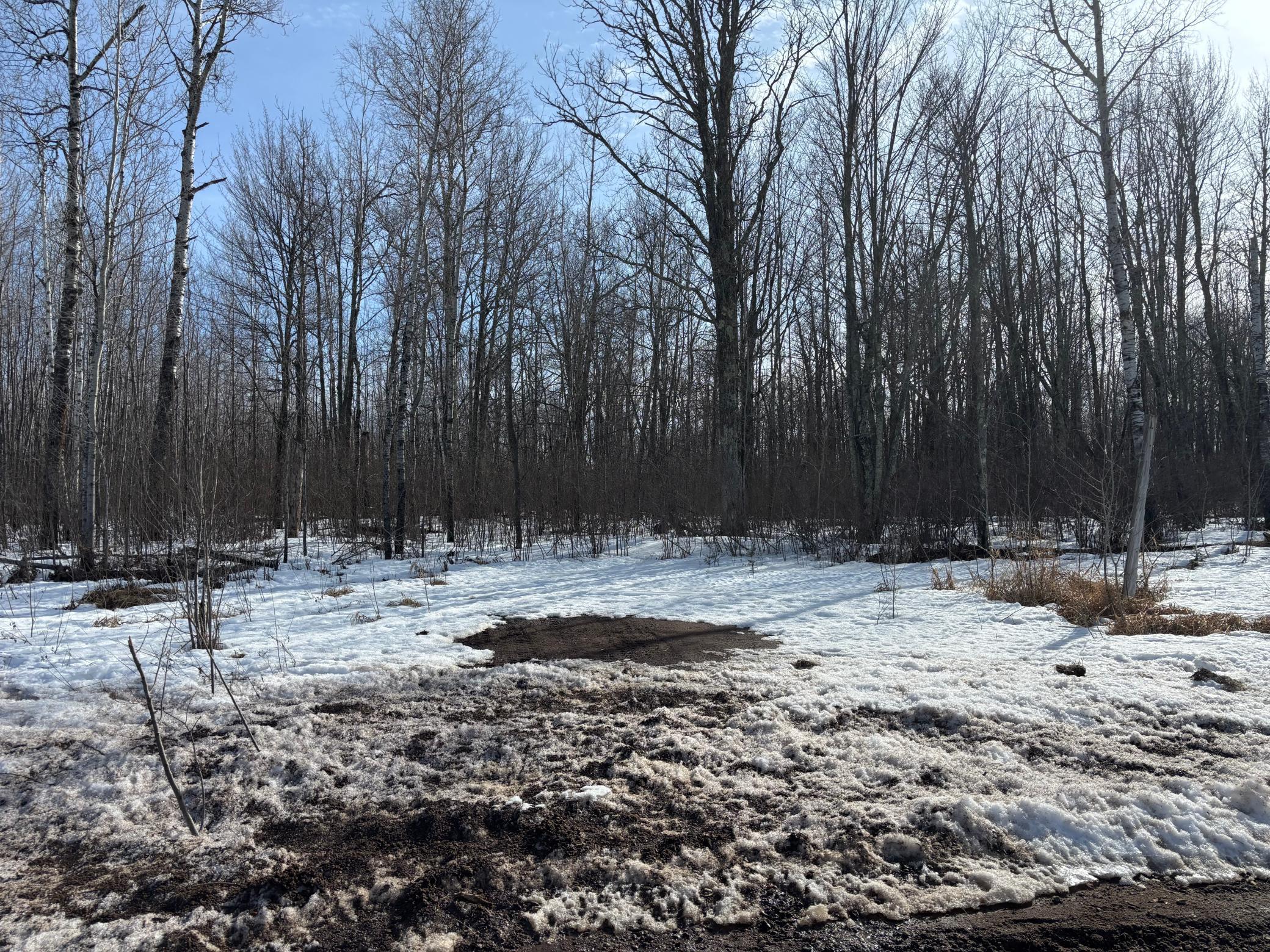 Tbd Erickson Road Kettle River, MN 55757 - Photo 2 of 4