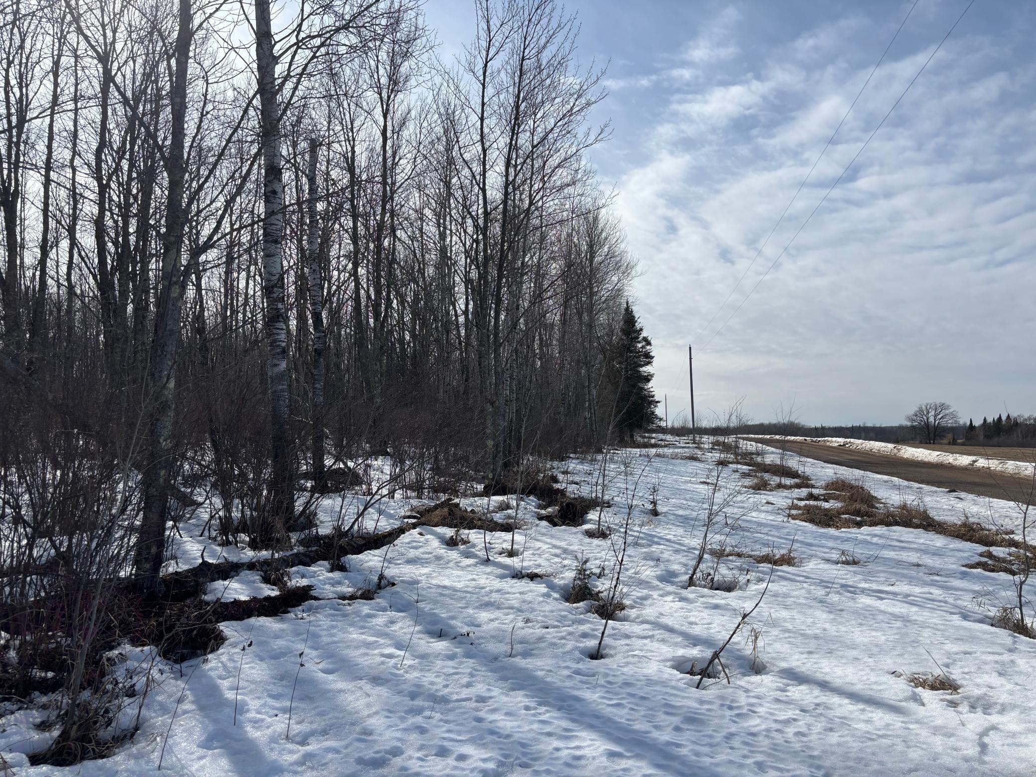 Tbd Erickson Road Kettle River, MN 55757 - Photo 3 of 4