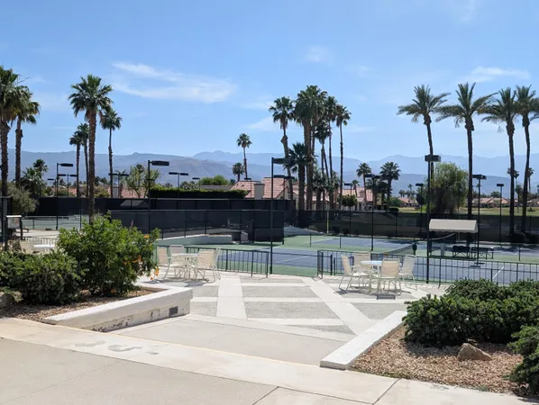 a outdoor space with lots of palm trees