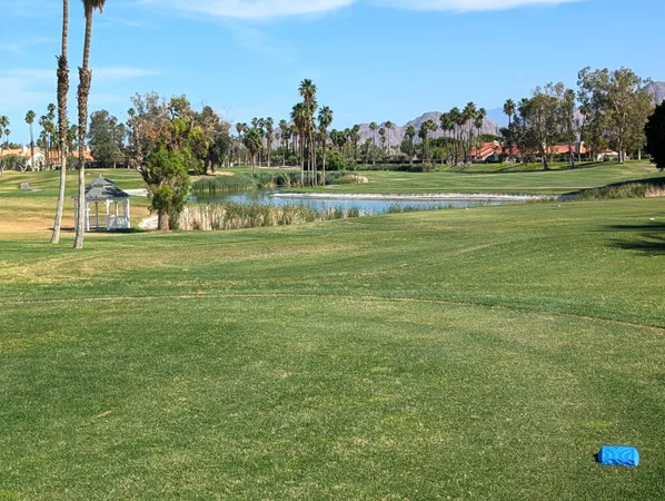 a view of a big yard with a fountain and a large tree