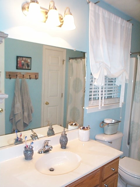 216 Rutledge Drive Waynesboro, VA 22980 - Photo 16 of 16 a bathroom with a sink and a mirror