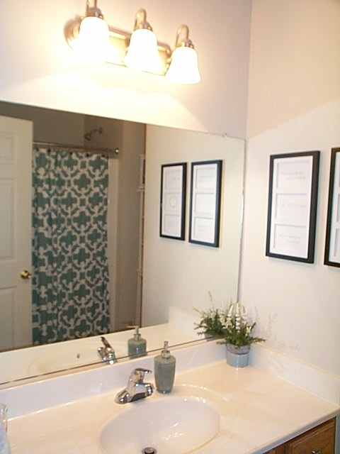 216 Rutledge Drive Waynesboro, VA 22980 - Photo 10 of 16 a bathroom with a sink and a mirror