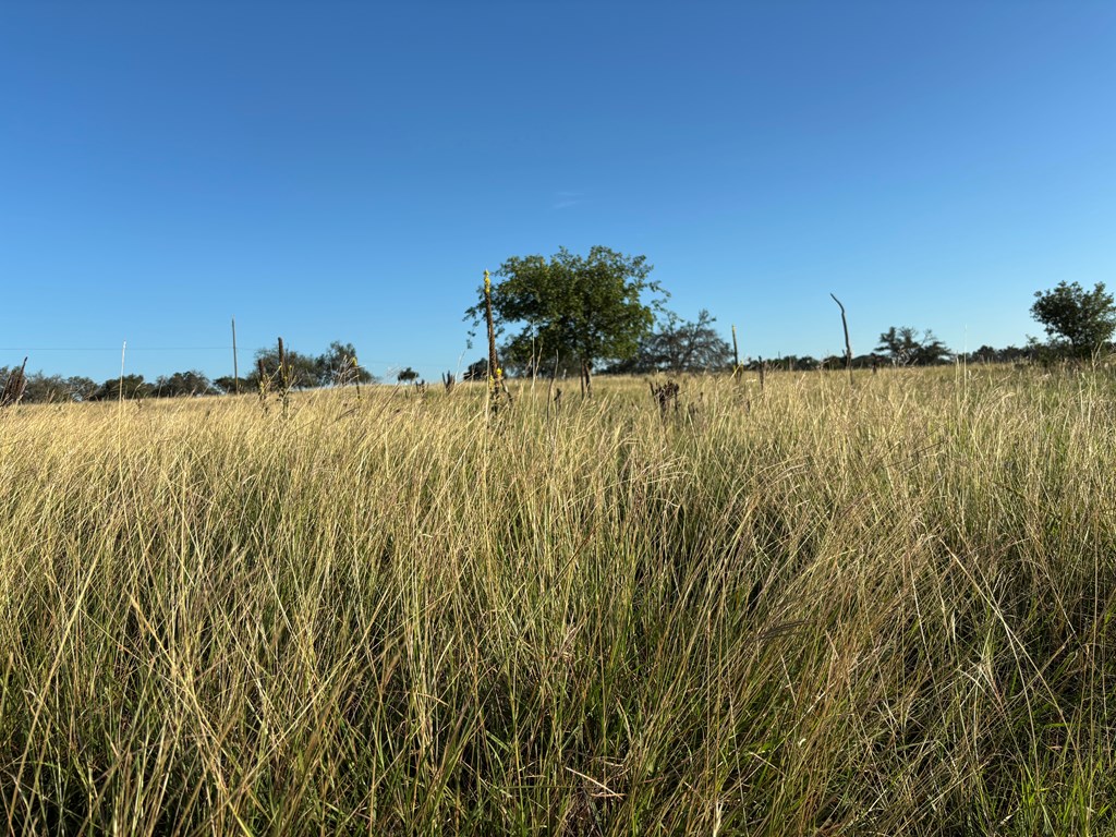 183 Lipan Loop, Unit 20 Harper, TX 78631 - Photo 9 of 14 a view of an ocean view