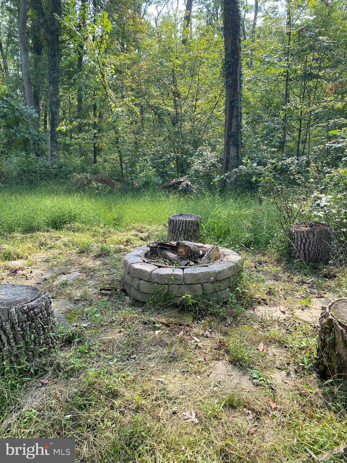3108 Goezel Road Perkiomenville, PA 18074 - Photo 35 of 40 Firepit with tree stump seats