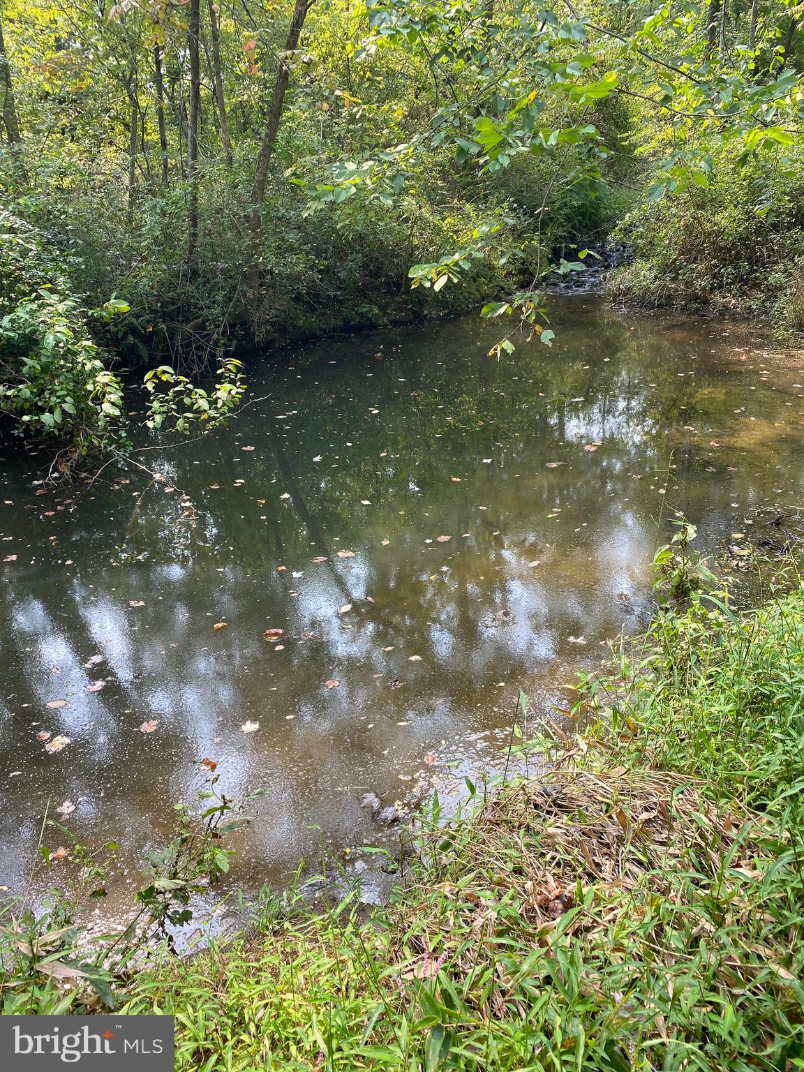 3108 Goezel Road Perkiomenville, PA 18074 - Photo 36 of 40 Pond on property