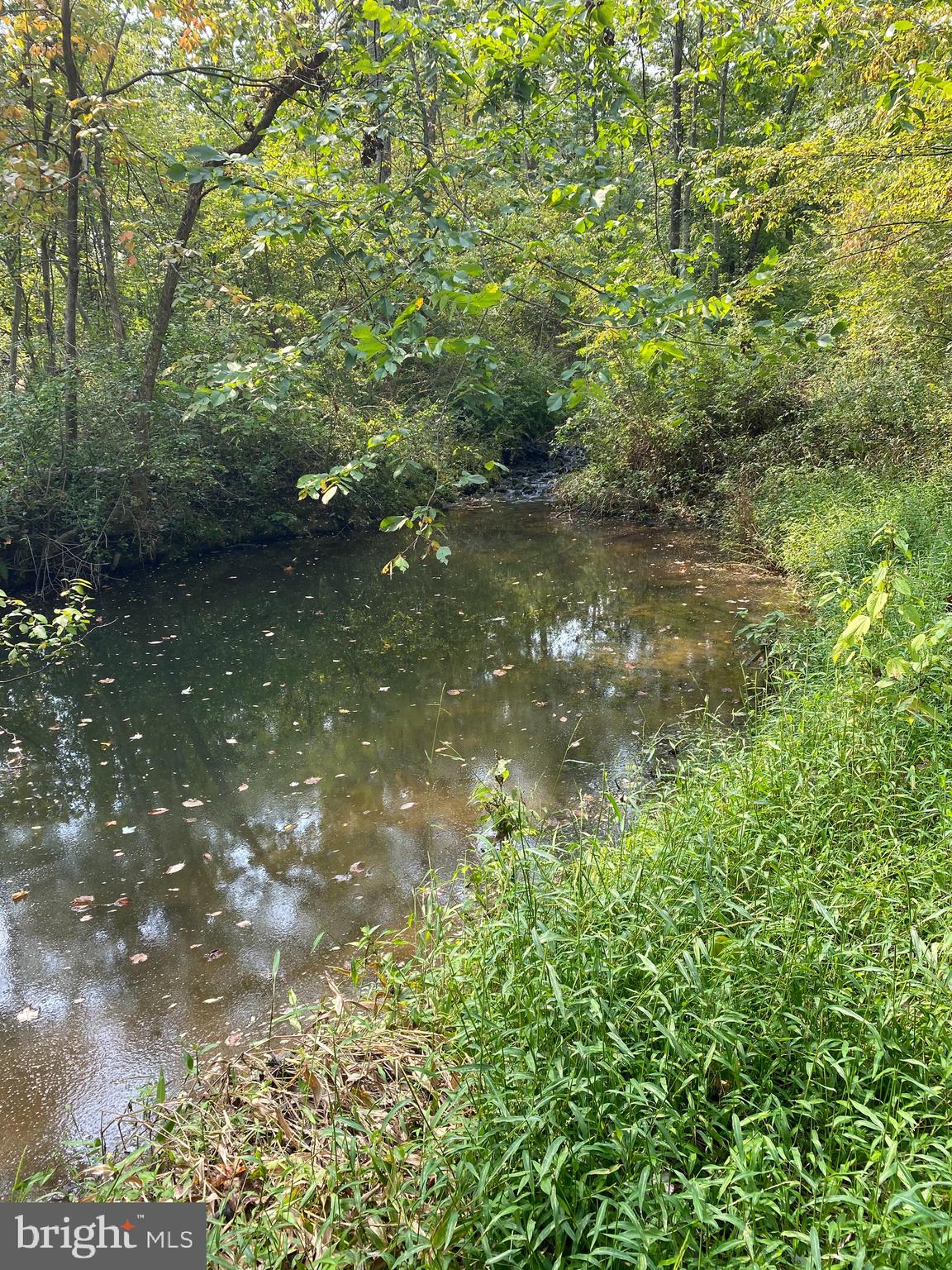 3108 Goezel Road Perkiomenville, PA 18074 - Photo 38 of 40 Pond on property