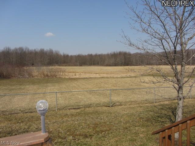 4685 Industry Road Ravenna, OH 44266 - Photo 16 of 21 View from the back deck. (A small area is fenced in for your four legged friend or perfect for a play area for small children.