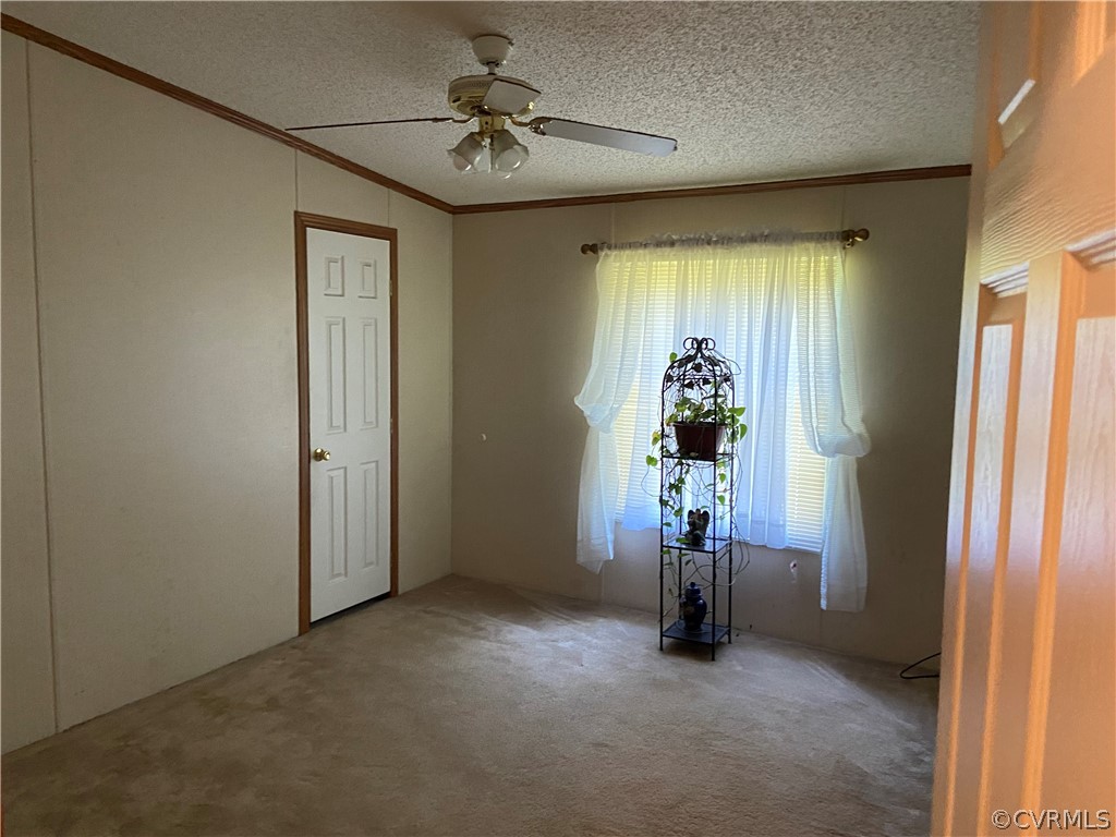 16011 Hamilton Arms Road Dewitt, VA 23840 - Photo 8 of 20