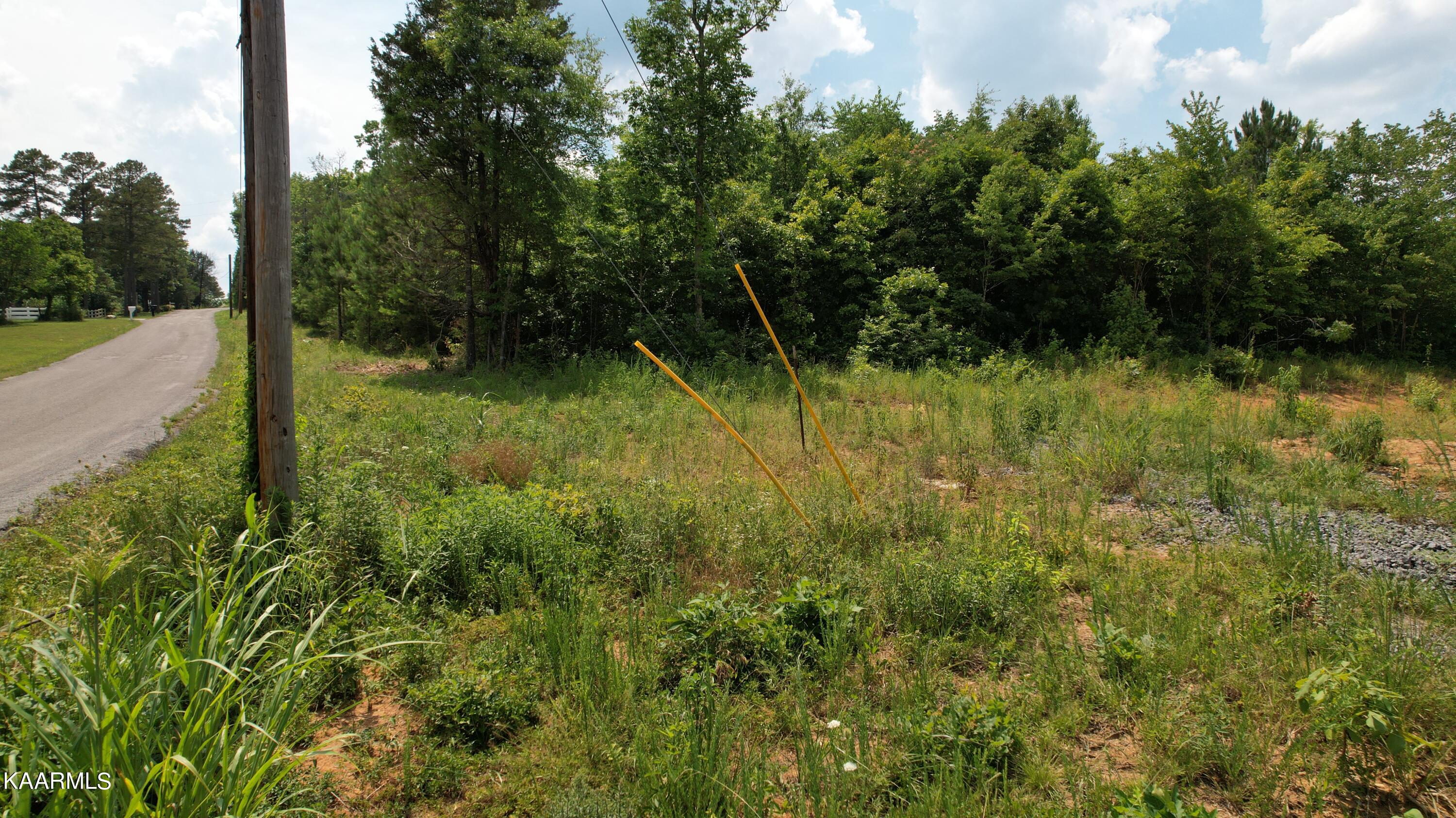 Lot 52 Hiwassee Circle Decatur, TN 37322 - Photo 5 of 5 Photo Jun 24, 8 19 35 PM (32)