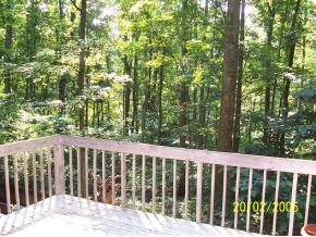 404 Rovan Drive Johnson City, TN 37601 - Photo 5 of 6 Photo 5