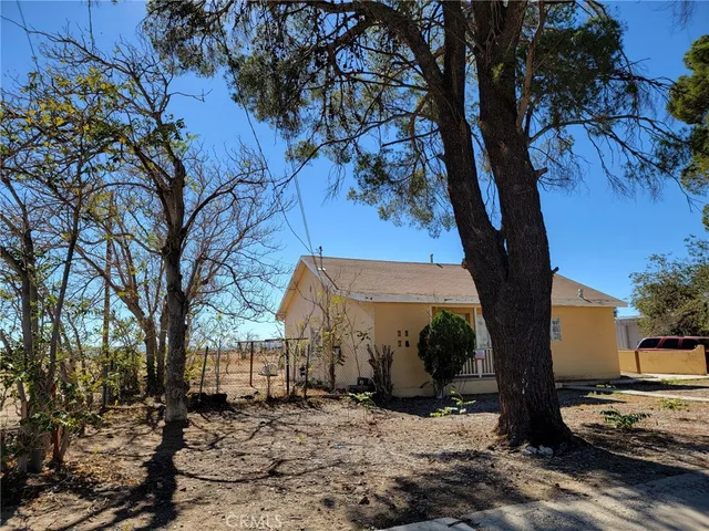 a view of a yard with a tree