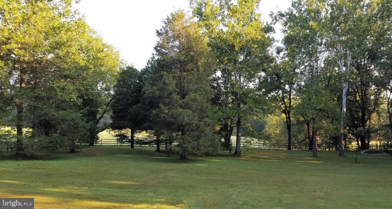14901 Springfield Road Darnestown, MD 20874 - Photo 5 of 40 Back Yard View