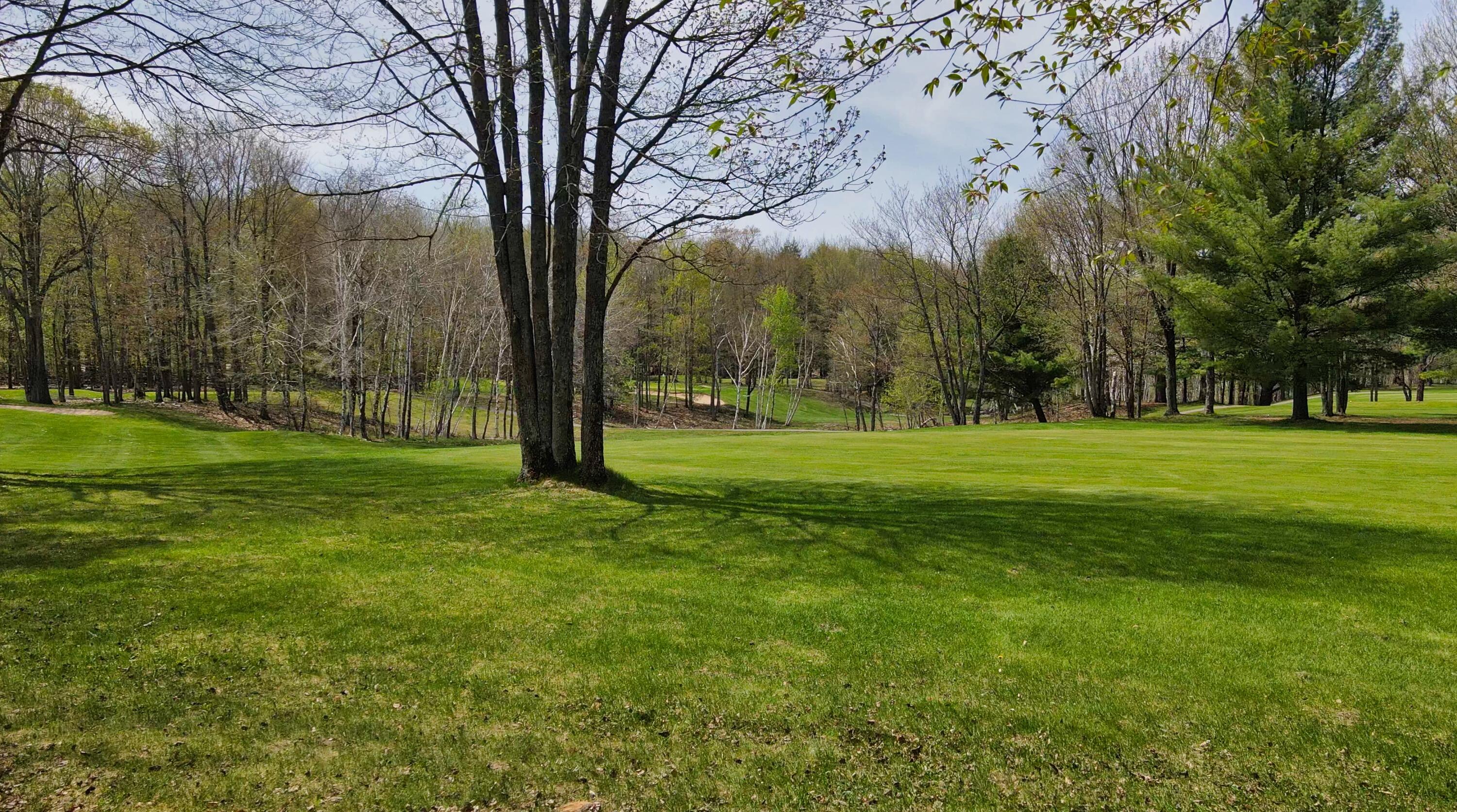 5978 Northstar Road Gaylord, MI 49735 - Photo 35 of 57 Gallery Image 35