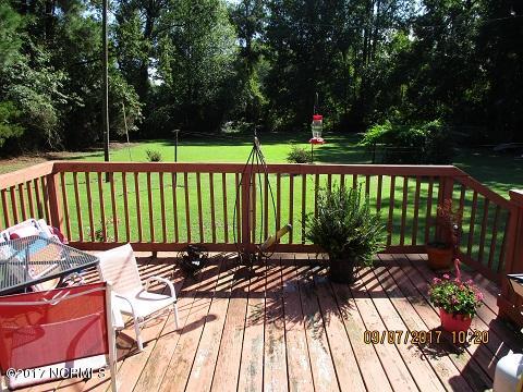 1056 Cabin Museum Road Turkey, NC 28393 - Photo 5 of 19 back deck