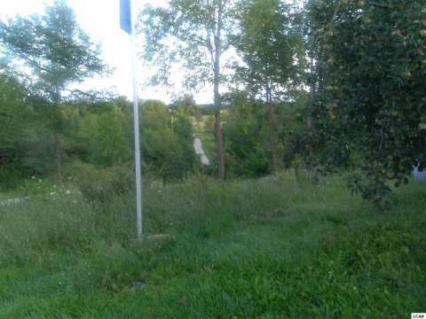 10864 Burton Road Adrian, MI 49221 - Photo 5 of 22 20365665-4.JPG