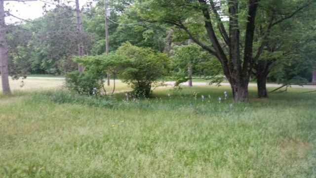 6476 East Loop Road Hesperia, MI 49421 - Photo 8 of 15 20160609_153158