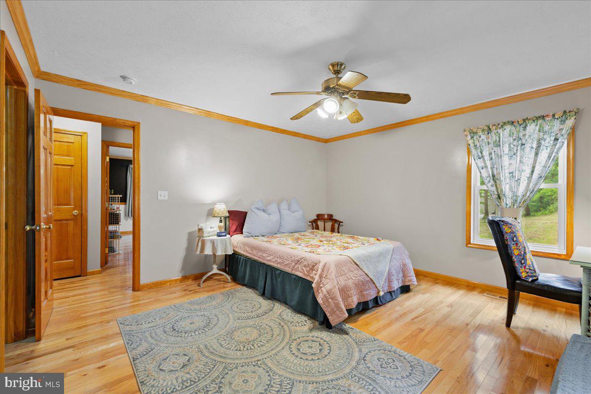 906 Cauthorn Mill Road Middletown, VA 22645 - Photo 25 of 47