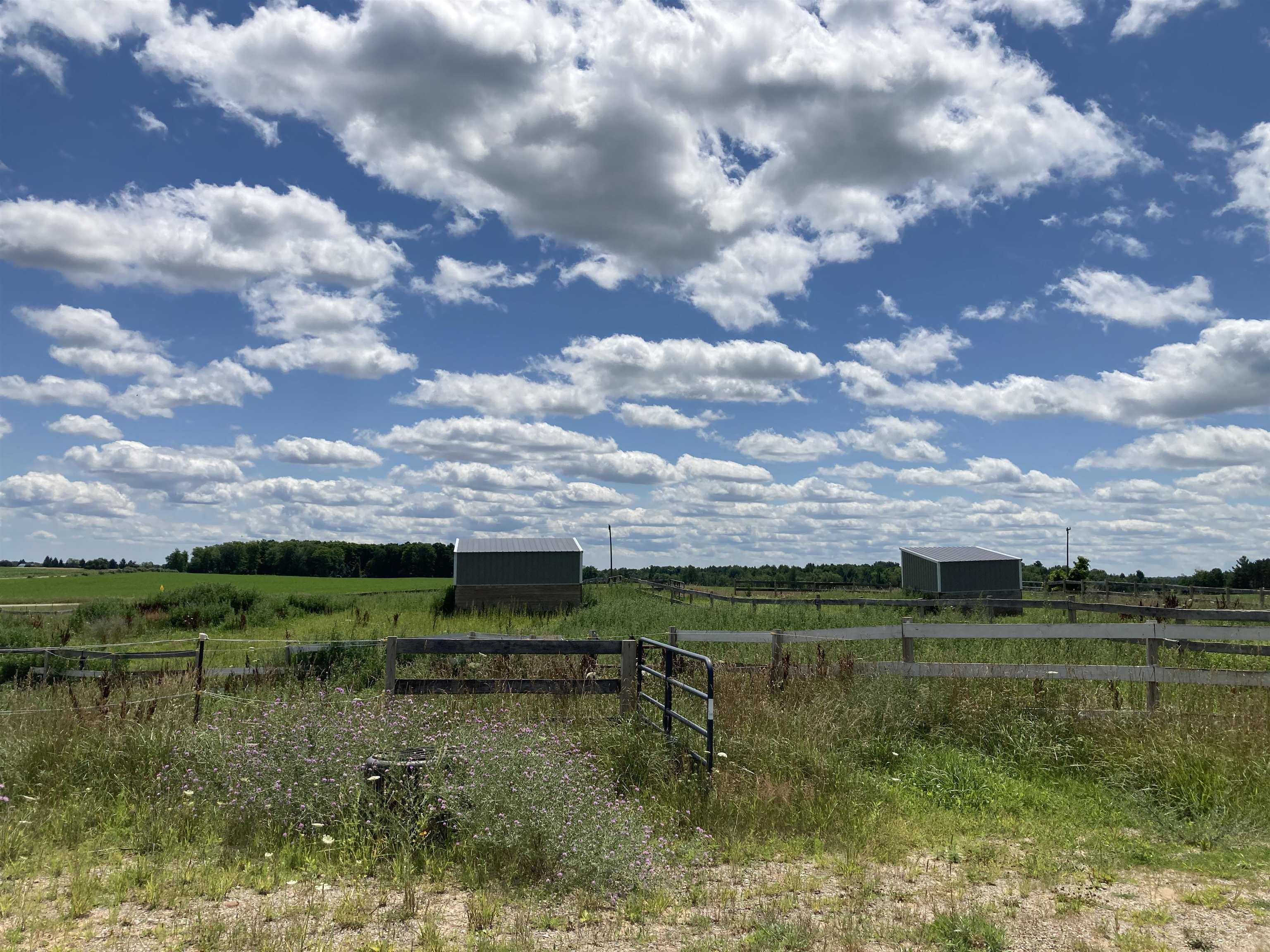 0 East Scribner Road Rose City, MI 48654 - Photo 5 of 19