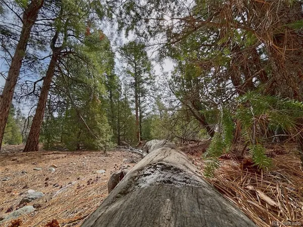 a view of outdoor space with trees