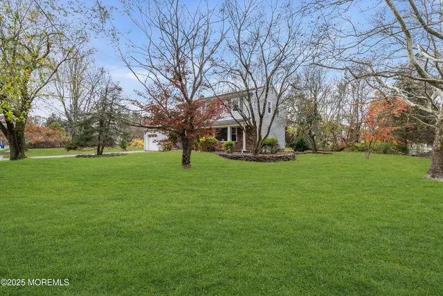a view of a park with large trees