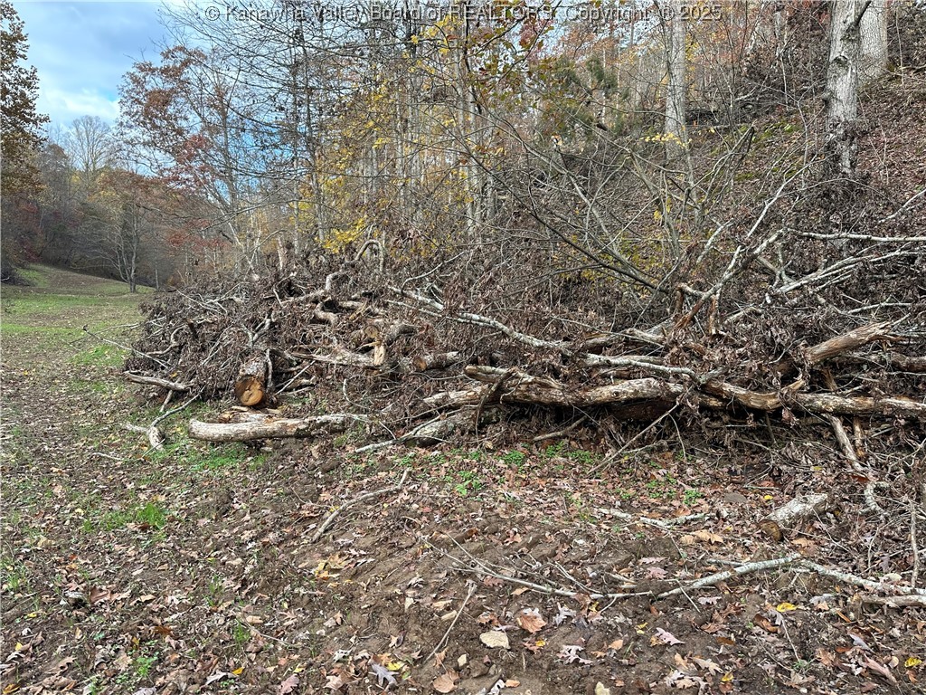 621 3 Mile Road Brohard, WV 26138 - Photo 21 of 48 Gallery Image 21