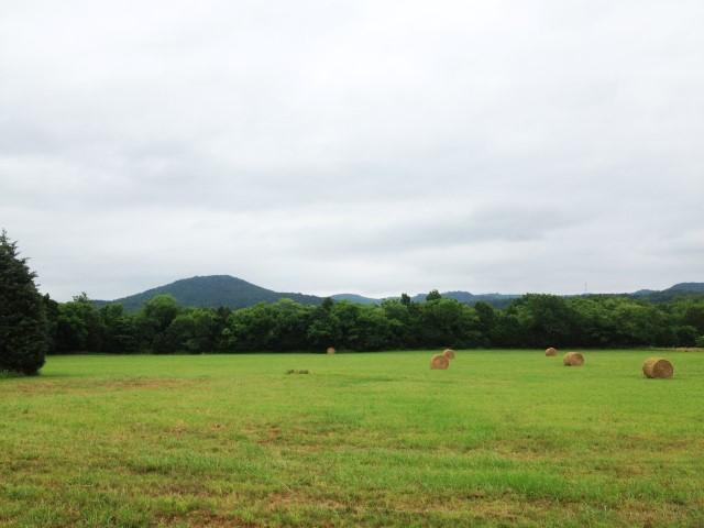 7 Pruitt Road Christiana, TN 37037 - Photo 1 of 2 Gallery Image 1