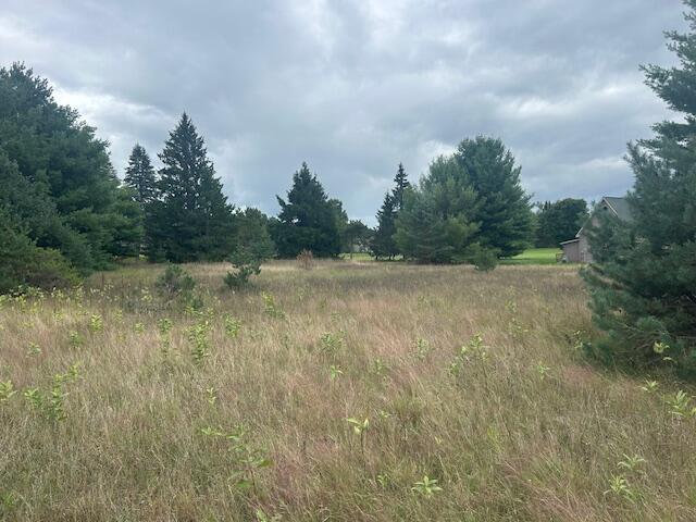 7734 Red Fox Road, Unit 37 Canadian Lakes, MI 49346 - Photo 10 of 11 IMG_1059