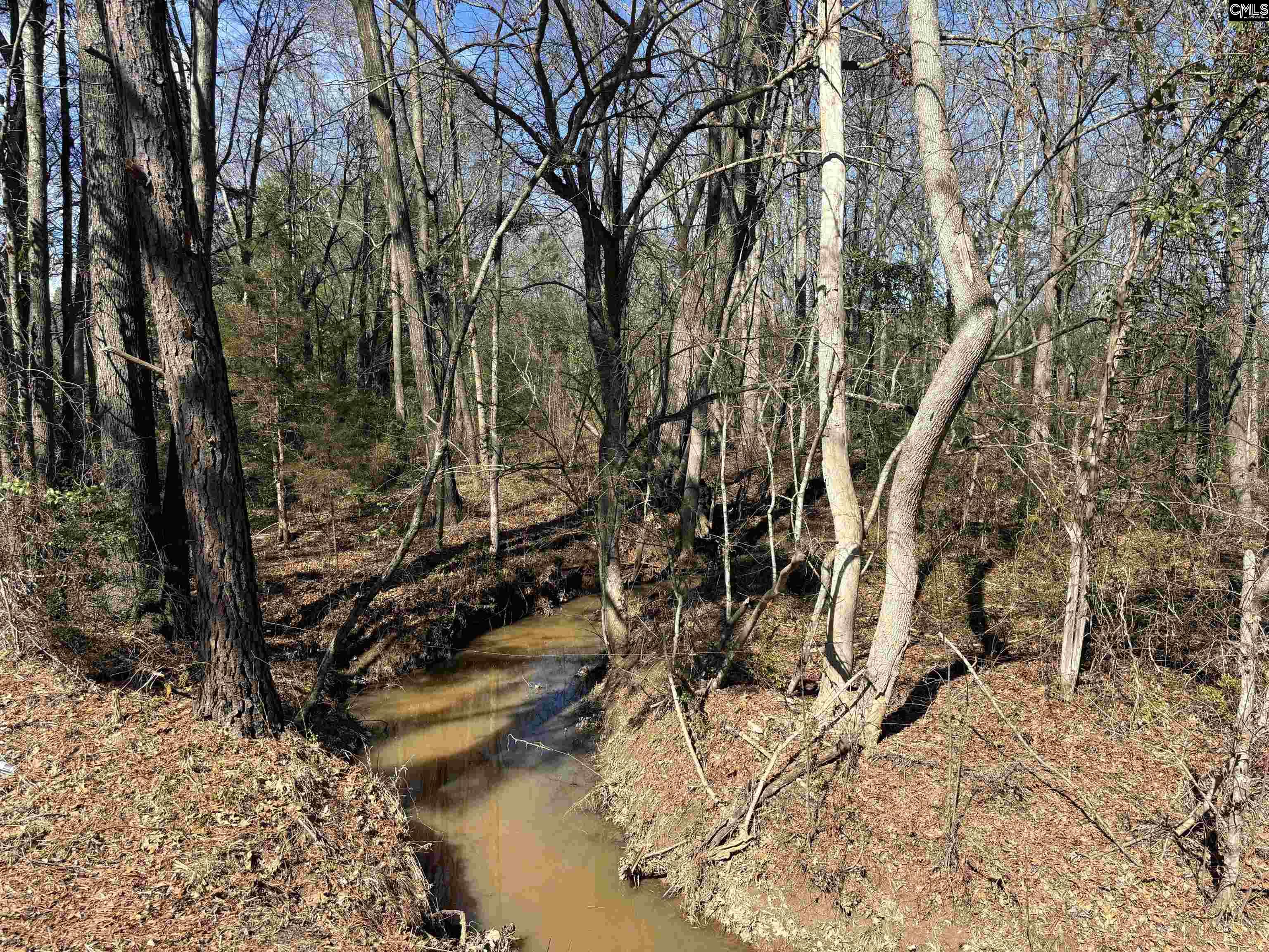 0 Bethany Road Saluda, SC 29138 - Photo 5 of 24