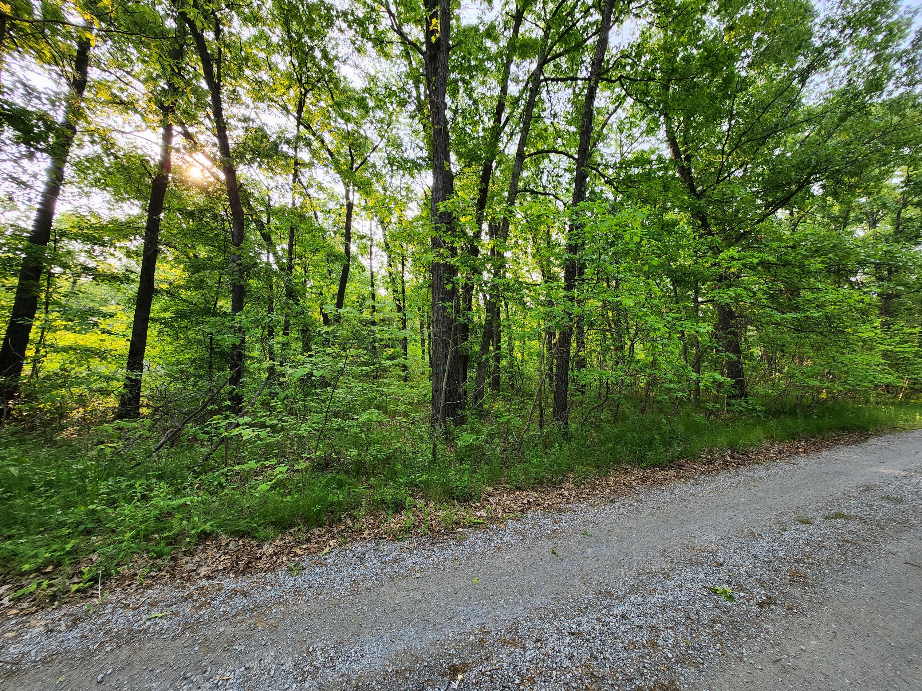 V/l Hall Road Muskegon, MI 49442 - Photo 2 of 5 20250603_082800