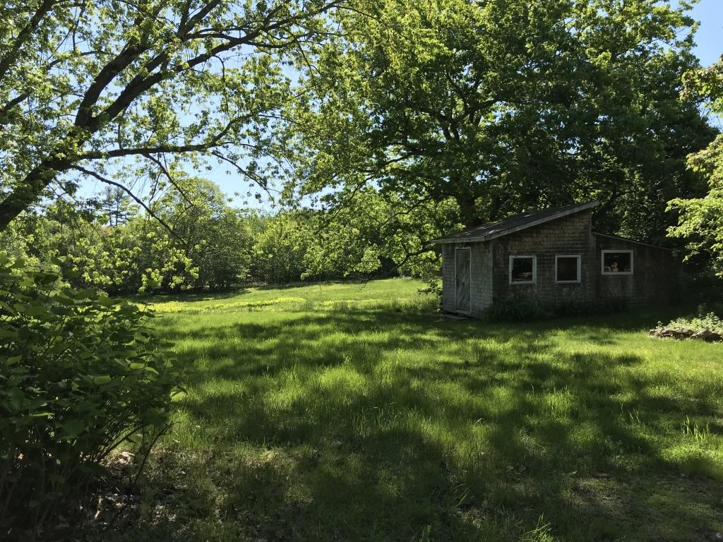 145 Carding Machine Road Bowdoinham, ME 04008 - Photo 58 of 80 UNADJUSTEDNONRAW_thumb_4455