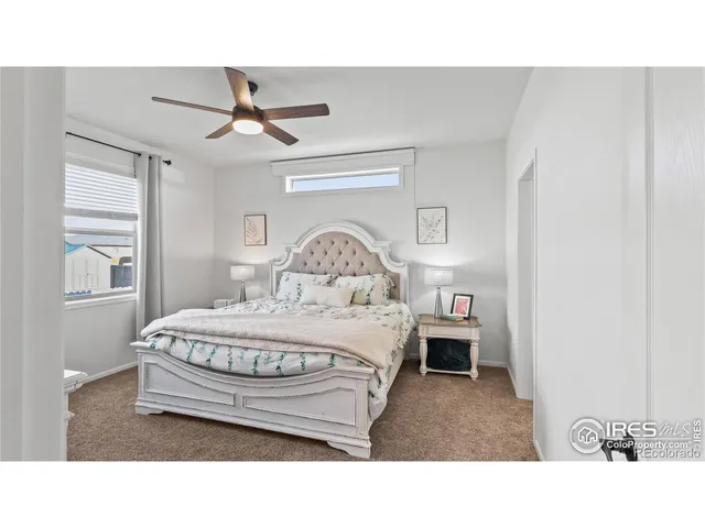 a living room with a bed furniture and a window