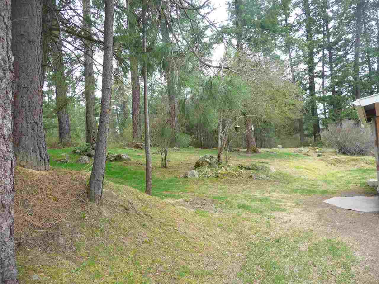 37116 North Findley Road Deer Park, WA 99006 - Photo 5 of 14