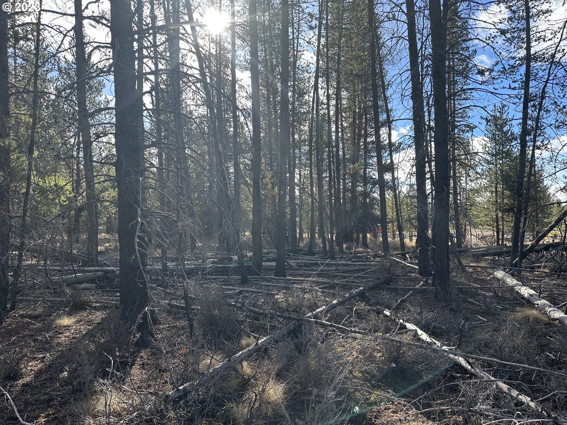 Split Rail Road, Unit 6100 La Pine, OR 97739 - Photo 12 of 27 a view of a yard with lots of trees