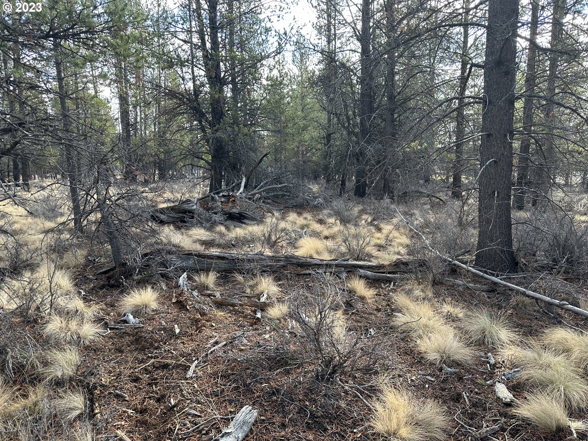 Split Rail Road, Unit 6100 La Pine, OR 97739 - Photo 16 of 27 a backyard of a house with lots of green space