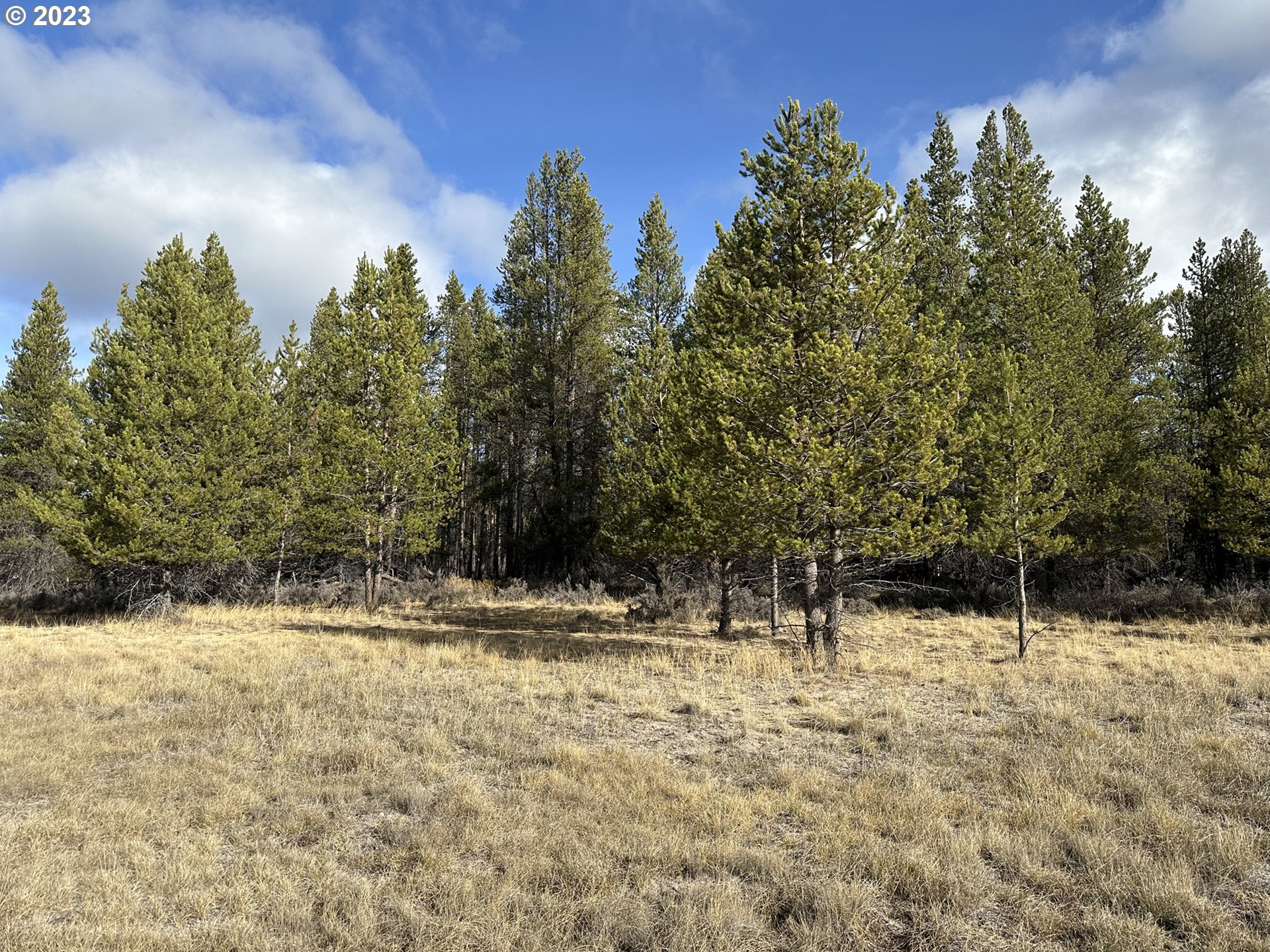 Split Rail Road, Unit 6100 La Pine, OR 97739 - Photo 17 of 27 a view of yard