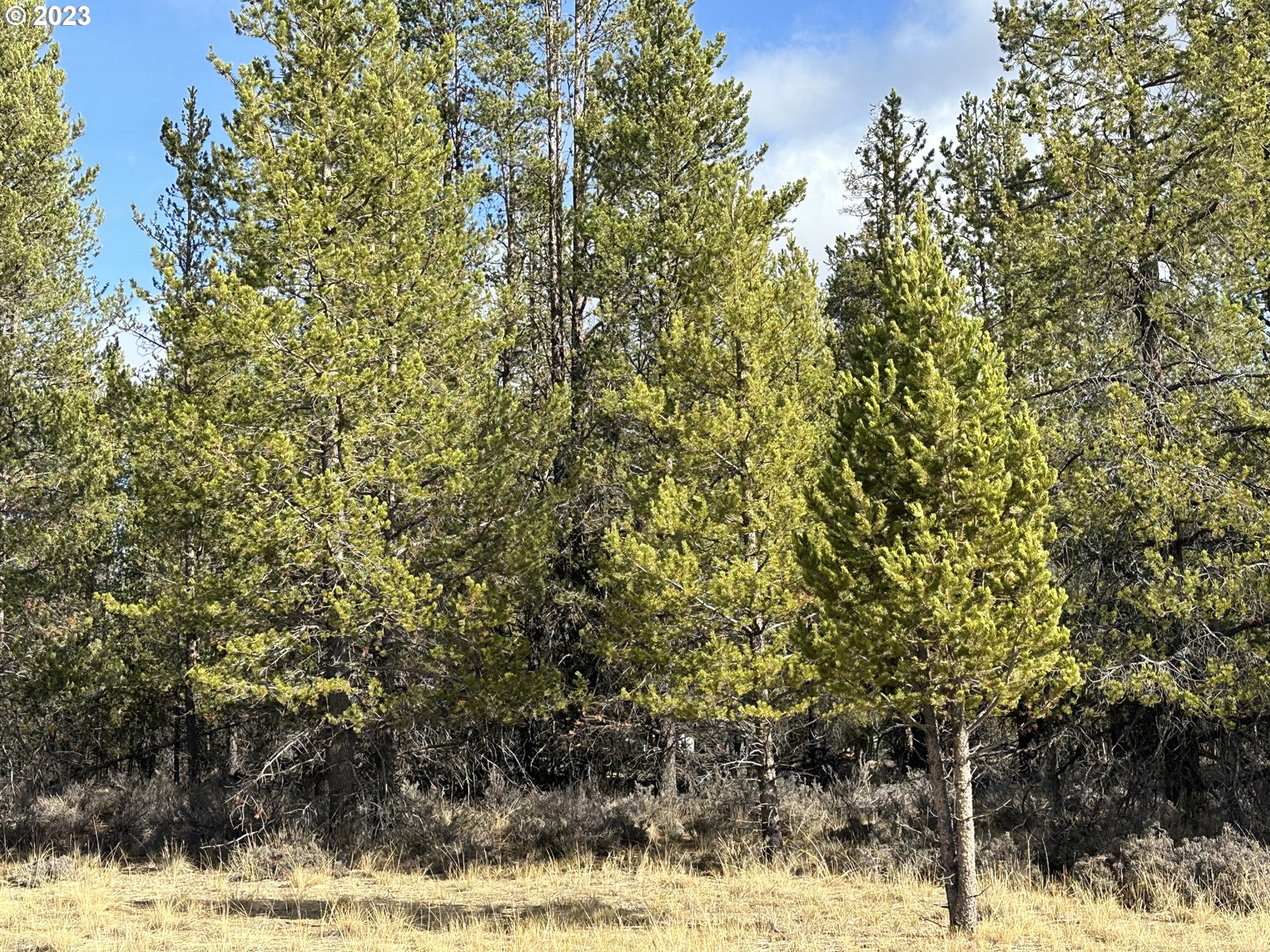 Split Rail Road, Unit 6100 La Pine, OR 97739 - Photo 22 of 27 a view of a yard covered with snow