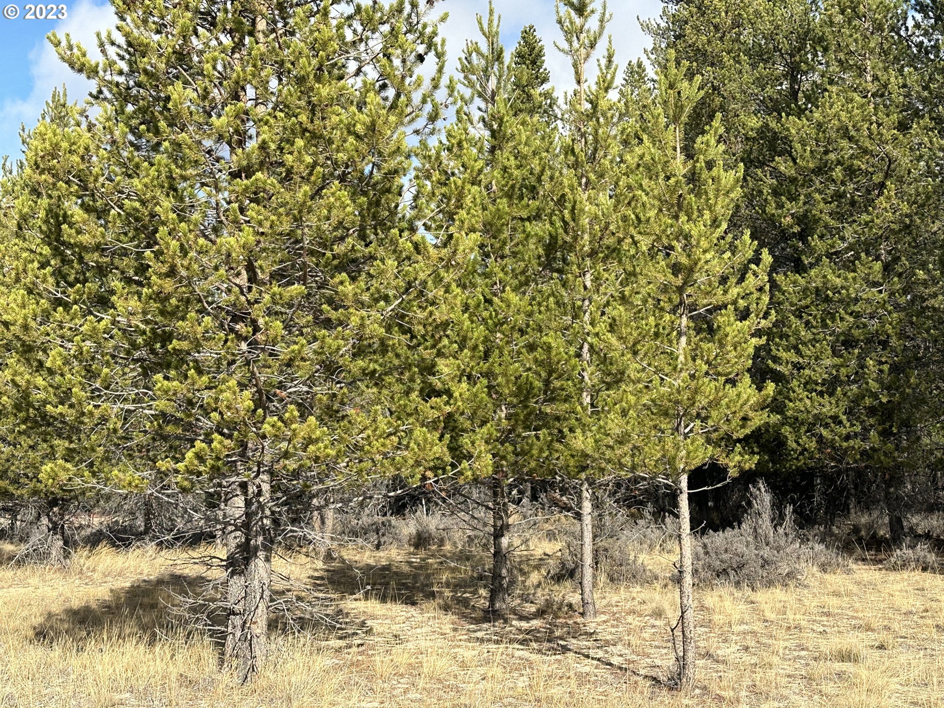 Split Rail Road, Unit 6100 La Pine, OR 97739 - Photo 23 of 27 a view of a yard