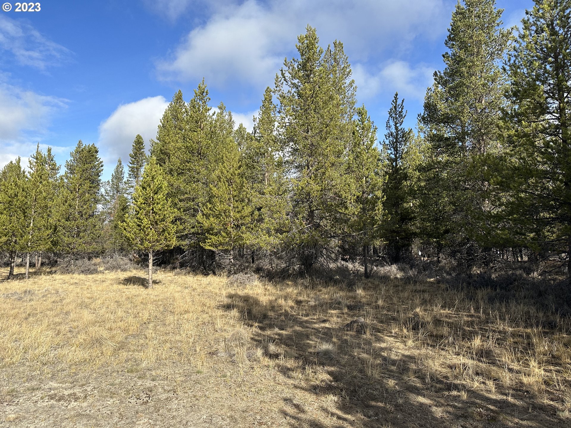 Split Rail Road, Unit 6100 La Pine, OR 97739 - Photo 24 of 27 a view of a yard covered in snow