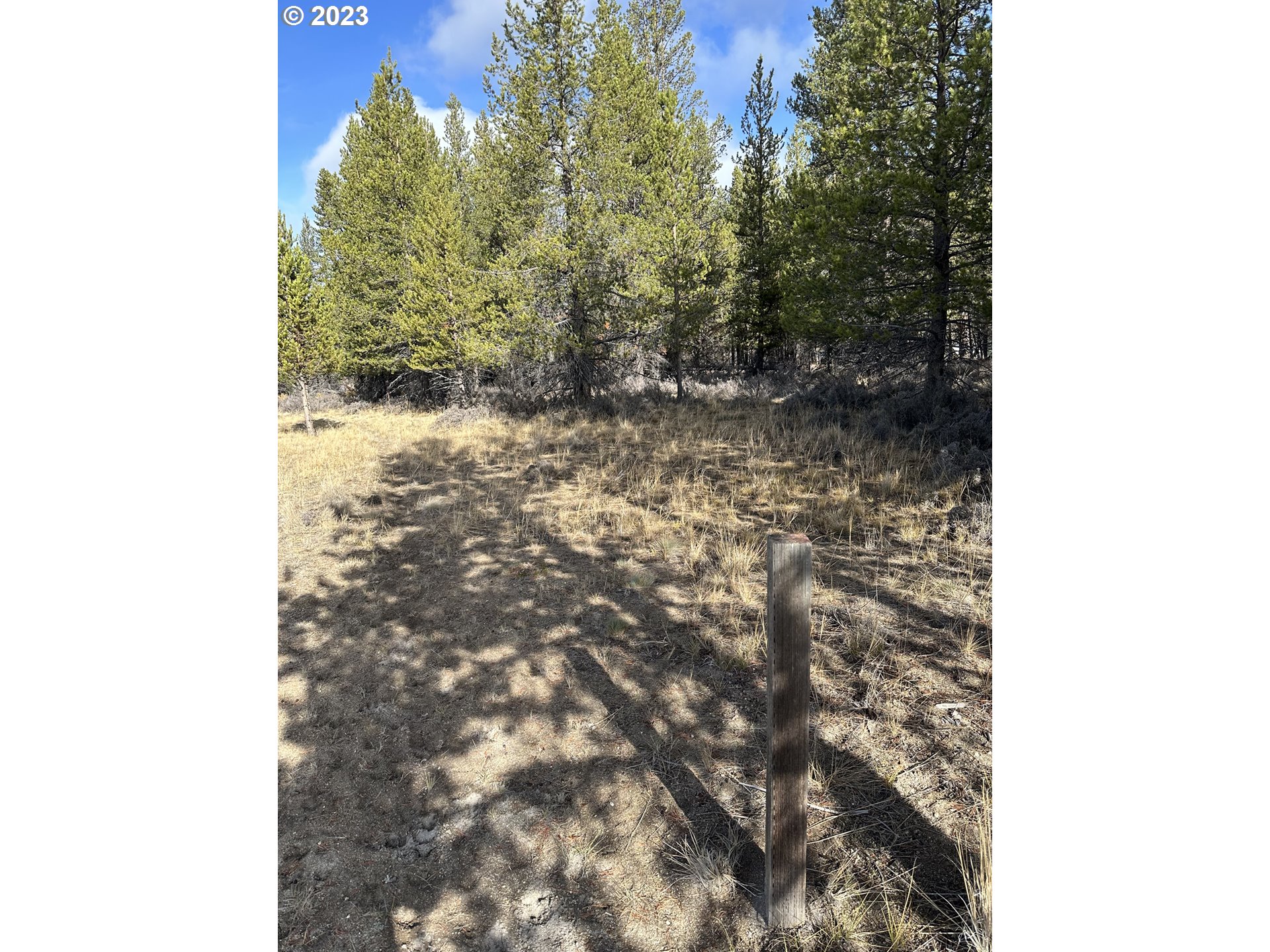 Split Rail Road, Unit 6100 La Pine, OR 97739 - Photo 26 of 27 a view of a forest with trees