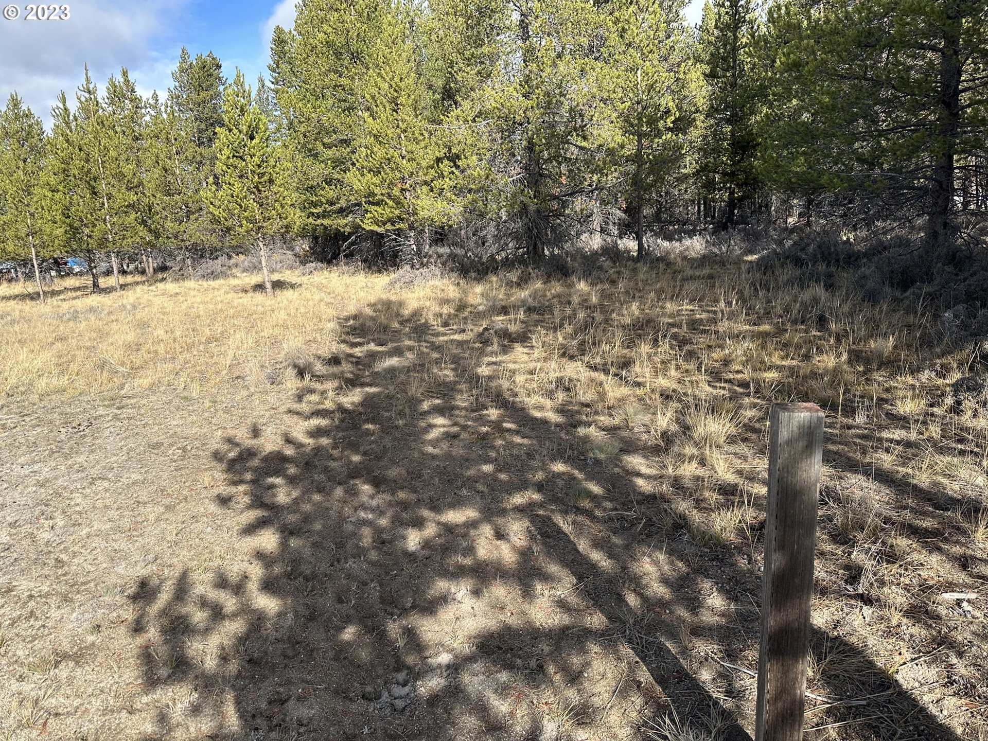 Split Rail Road, Unit 6100 La Pine, OR 97739 - Photo 27 of 27 a view of a yard with a tree