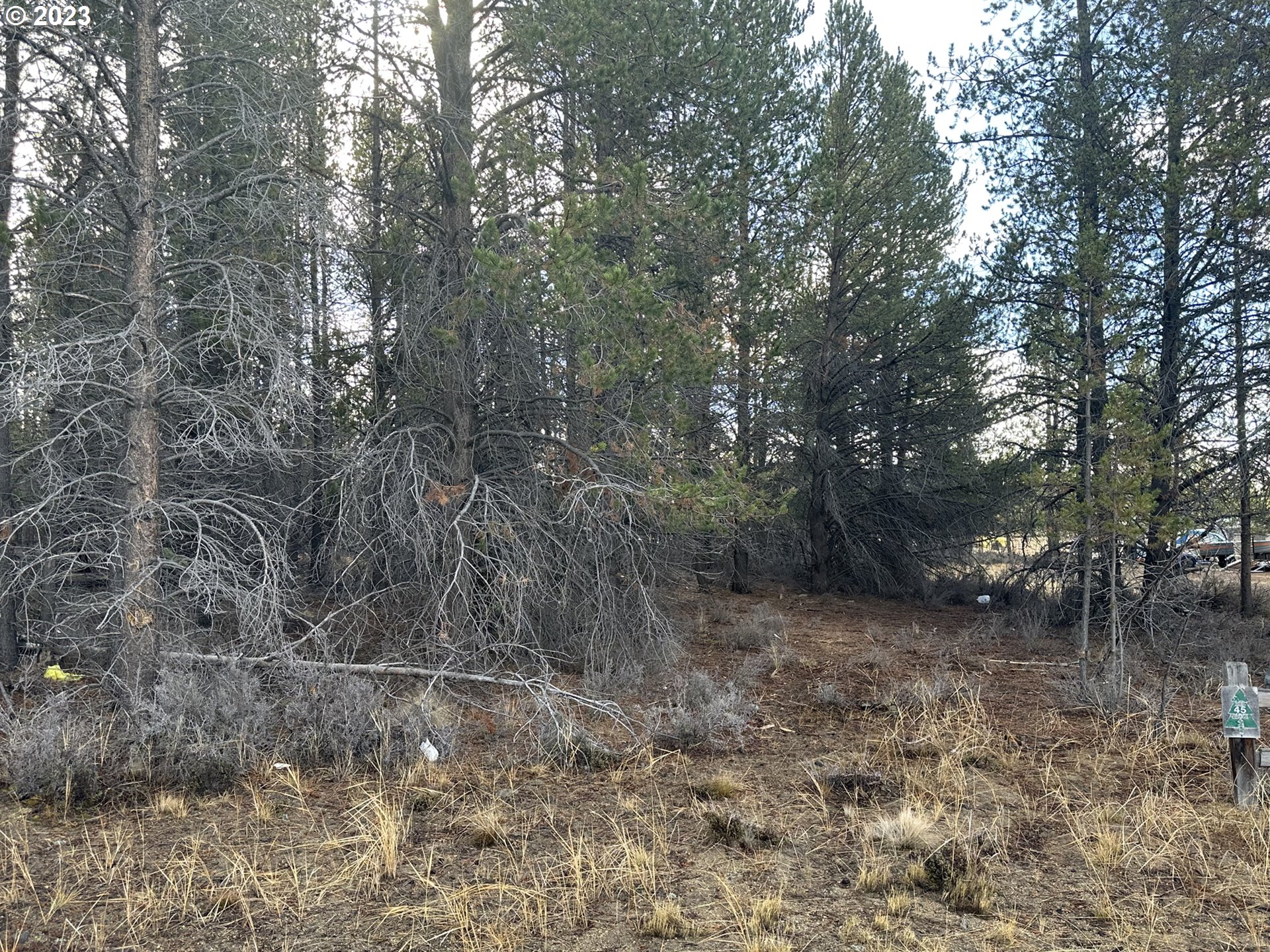 Split Rail Road, Unit 6100 La Pine, OR 97739 - Photo 4 of 27 a view of a forest with trees in the background