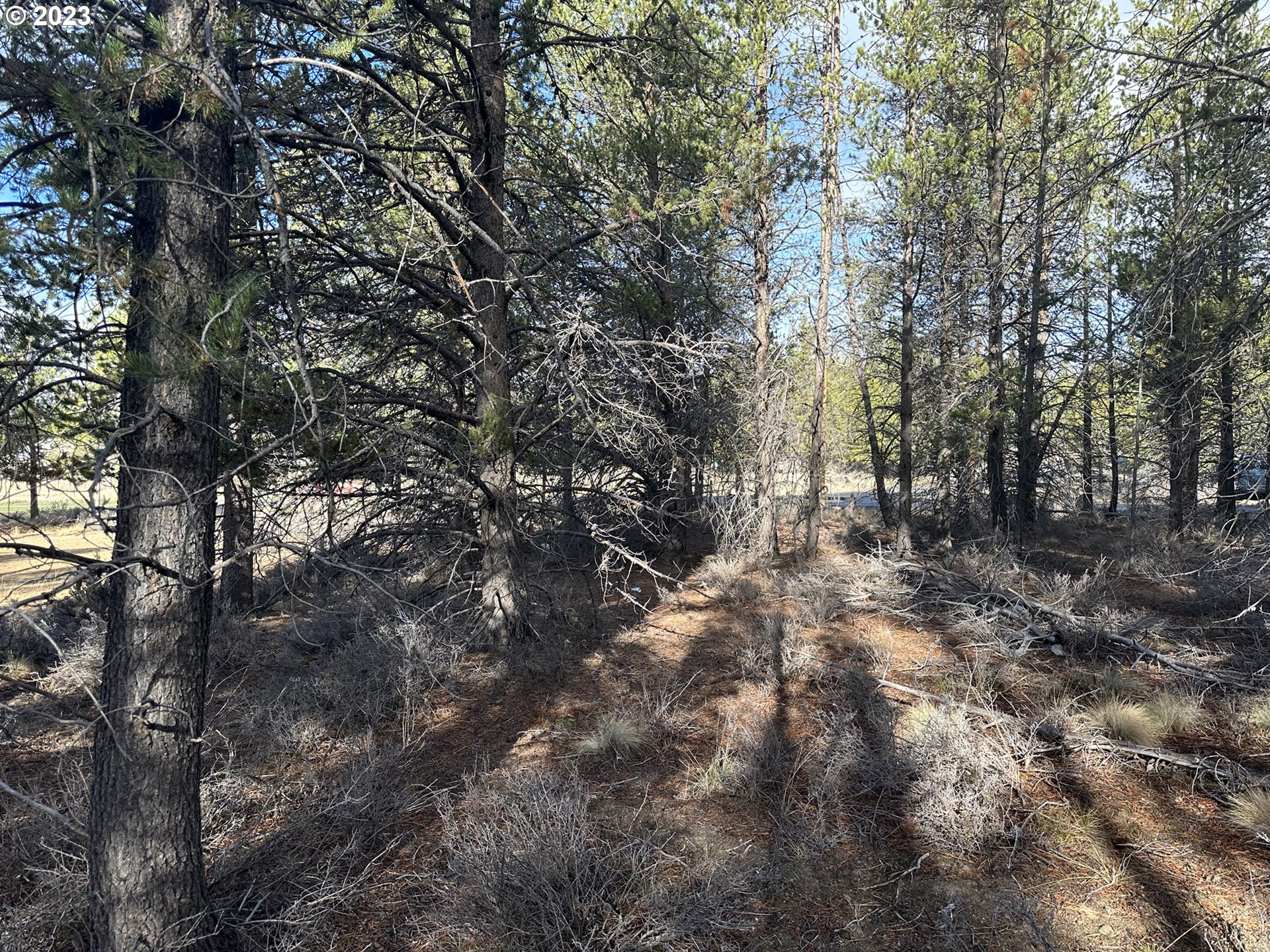 Split Rail Road, Unit 6100 La Pine, OR 97739 - Photo 10 of 27 a view of forest