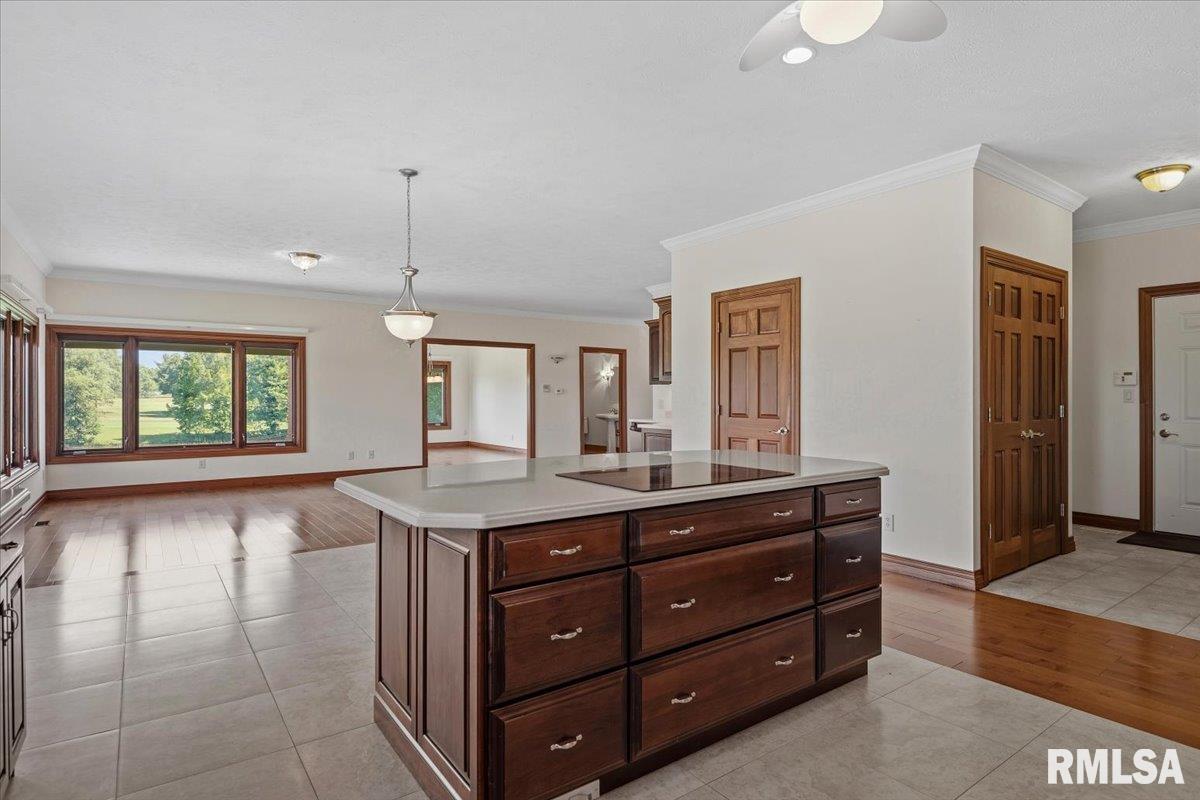 1582 West Autumn Ridge Road Sherman, IL 62707 - Photo 13 of 52