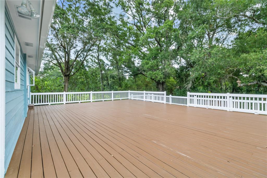 2650 20 Mile Level Road Land O' Lakes, FL 34639 - Photo 49 of 65