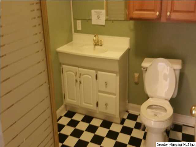 1604 MT Pleasant Road Clanton, AL 35045 - Photo 4 of 13