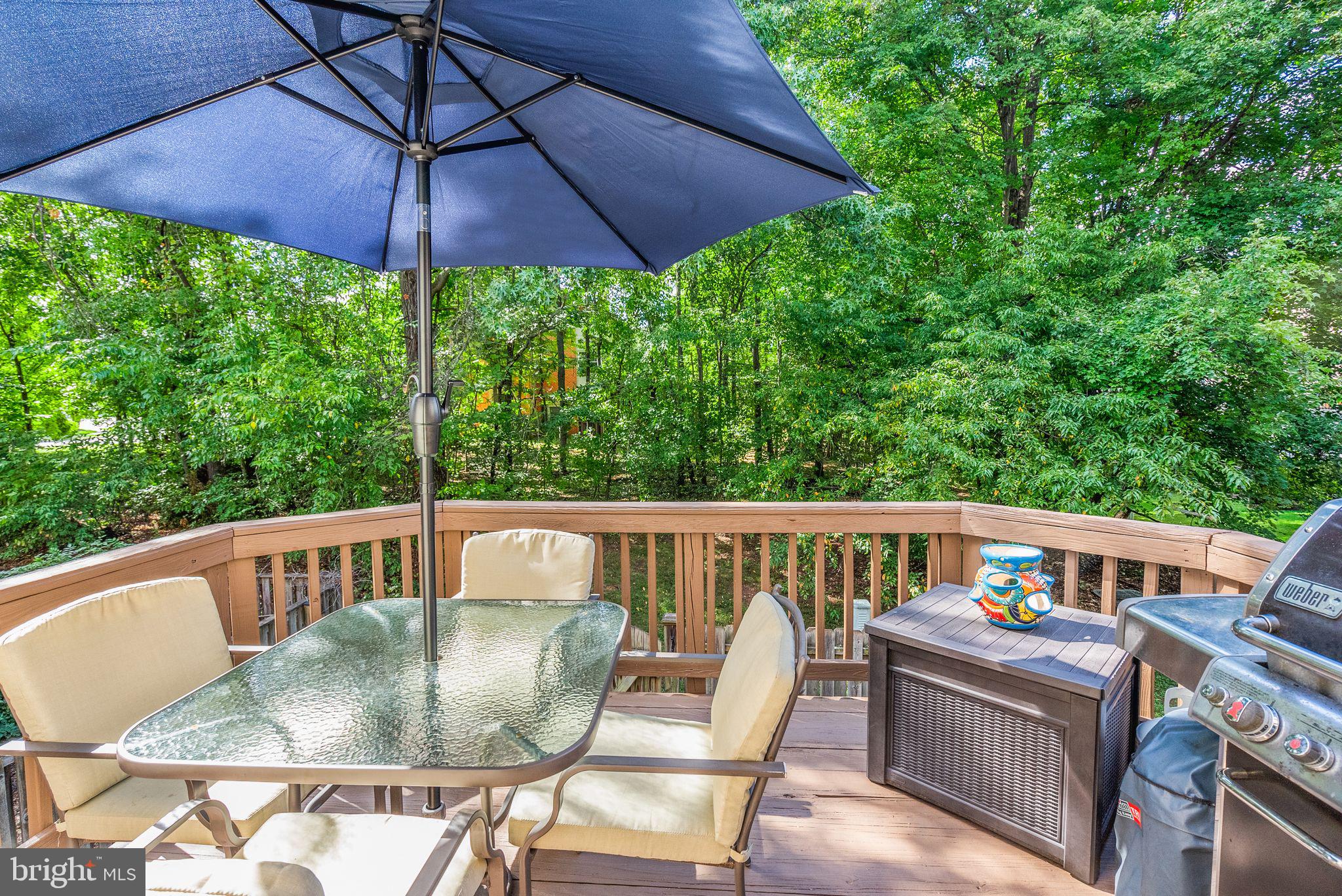 44087 Gala Circle Ashburn, VA 20147 - Photo 25 of 58