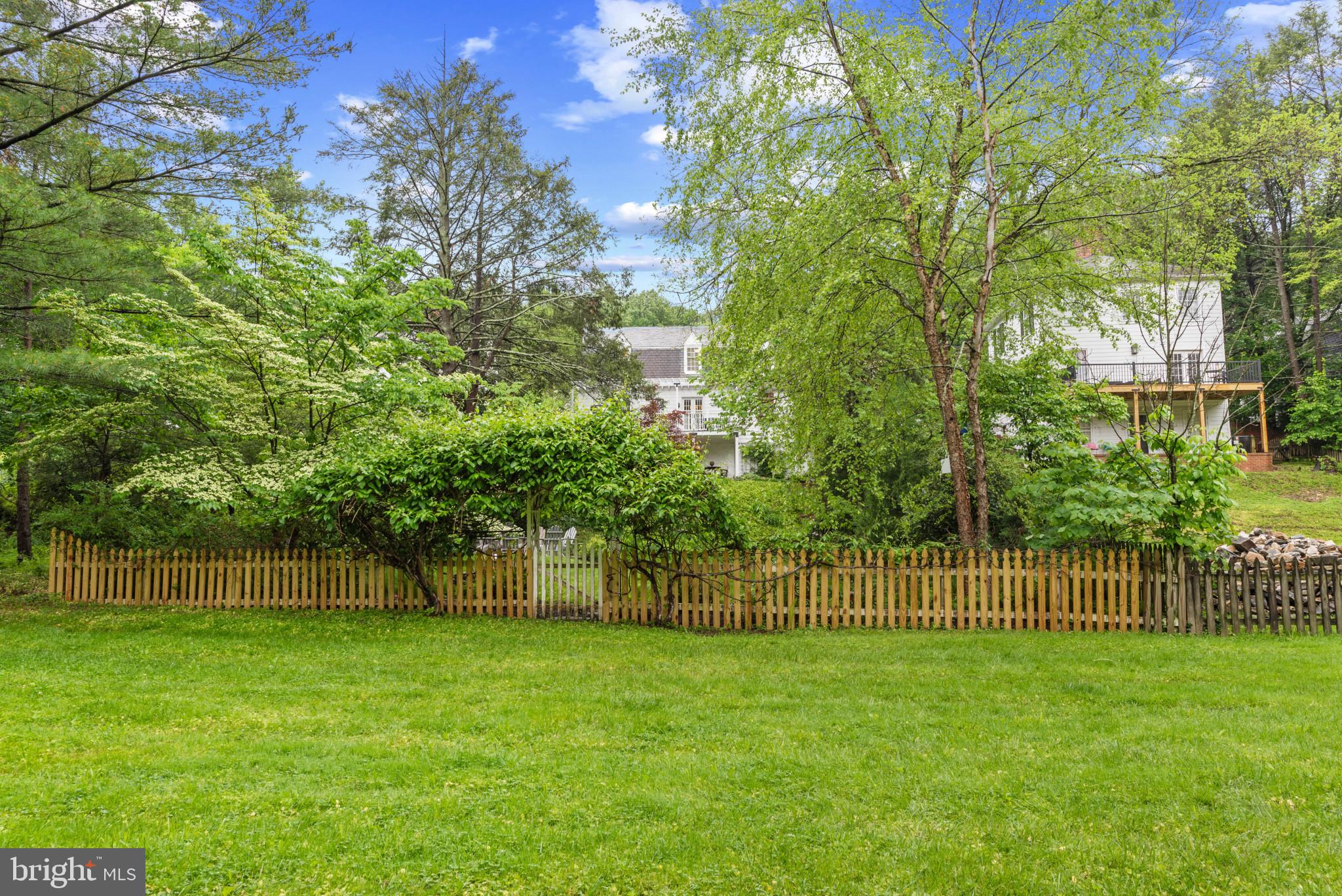 2443 Pickwick Road Baltimore, MD 21207 - Photo 51 of 108 a view of a yard with a tree