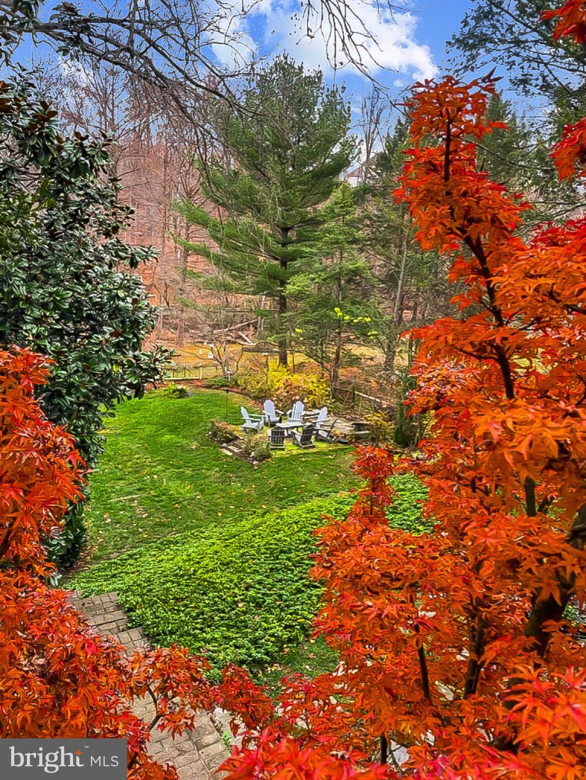 2443 Pickwick Road Baltimore, MD 21207 - Photo 59 of 108 a view of a yard with plants and large trees